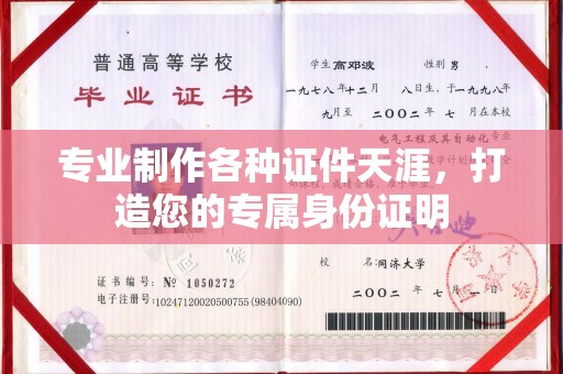 双桥专业制作各种证件天涯，打造您的专属身份证明