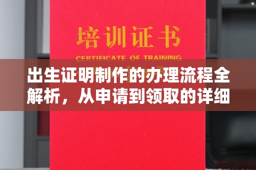 双桥出生证明制作的办理流程全解析，从申请到领取的详细指南