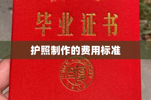 双桥护照制作的费用标准