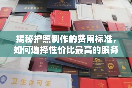 双桥揭秘护照制作的费用标准，如何选择性价比最高的服务？